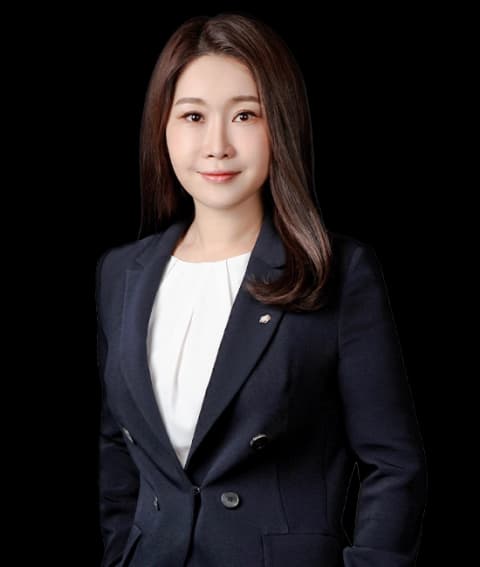 춘천사실혼변호사 undefined